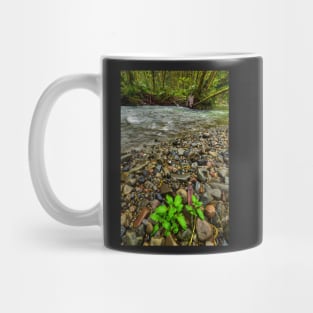 Lost Man Creek Mug